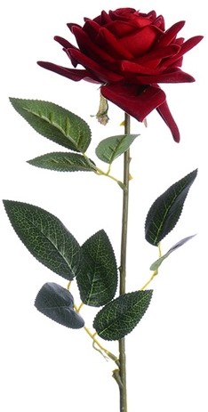 Zijdenroos EMPEROR 72cm Velvet Roos Donkerrood Velvet touch / stuk ruim 10cm diameter