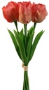 Tulp Tulpen Coral 33cm Bundel 5st zijde Merk: PURE