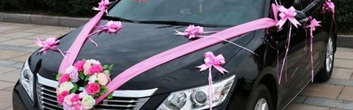 Autodecoratie Zijden Roze 6610 