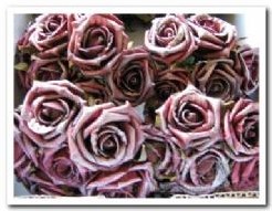 foamrose Emilia antique Burgundy doos42 foamrozen