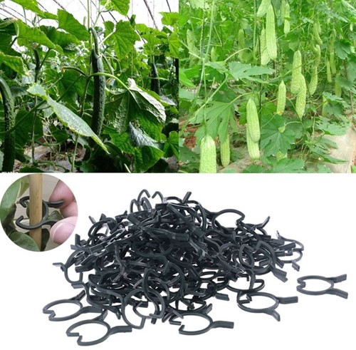 Plantclips voor bv tomaten, Lagenaria, druiven en klimplanten 100 st 3.7cm x3.2cm