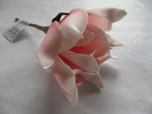 Magnolia foambloem Kort Soft Roze DOOS 12 stuks 