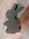 Oasis® Mini Rabbit Konijn Haasje steekschuimvorm OPZIJ Oasis® Mini Rabbit