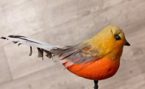 Vogeltje Robin ORANGE/rood/BROWN / st roodborstje