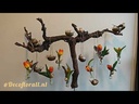 youtube - [Video]