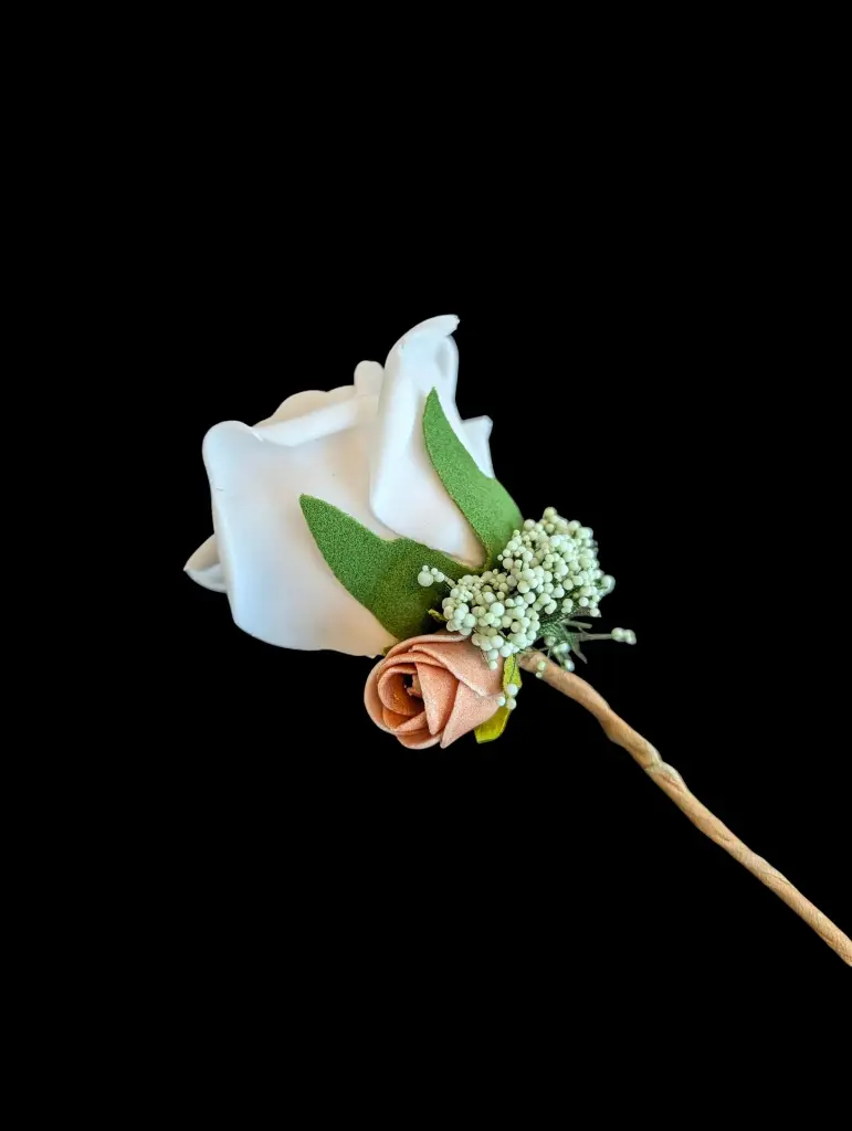 PXL_20260713_083124426-Photoroom (2).webp