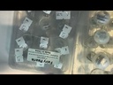 youtube - [Video]
