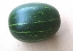 Cucurbita Andreana  Groene granaatkomkommer Sierkomkommertjes