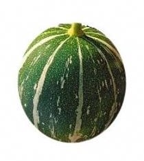 Cucumis foetidissima Buffalo Gourd-Andreana Sierkomkommertjes