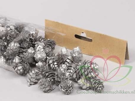 Omorica cone kleine dennenappeltjes Zilver 50 gram