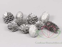 Dennenappel Ray Cones Zilver 500 gram