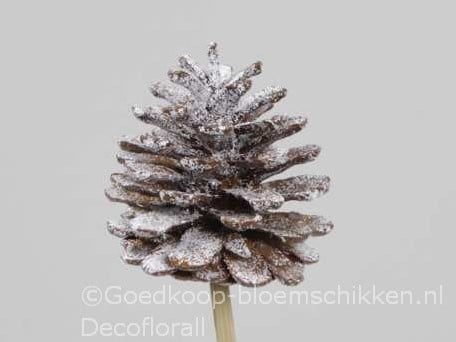 Dennenappels op draad Grootverpakking Naturel Snow doos ca. 600st Bulk