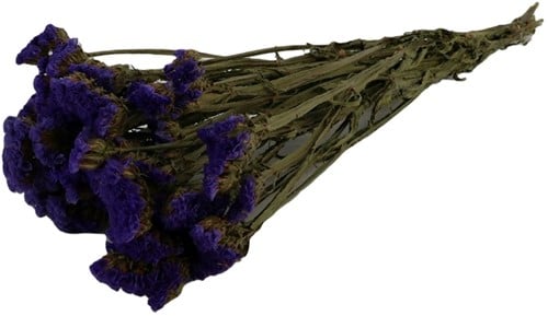 Statice Sinuata Lamsoor droogbloemen Natural Blue in hoes ca. 70 cm