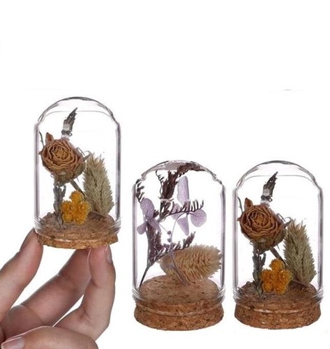 Mini Dome stolpjes gevuld met droogbloemen Ø4 h.6 cm set 4