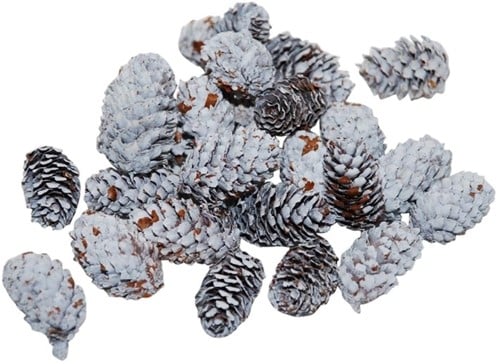 Pinecone Mini Spruce Dennenappeltjes White 180 gram