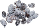 Pinecone Mini Spruce Dennenappeltjes White 180 gram