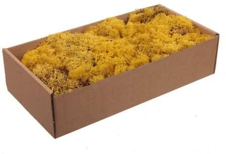 Rendiermos IJslandsmos Finlandsmos Okergeel 500 gram