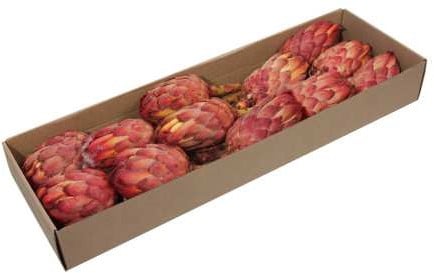 Protea Grandiceps Suikerbossie Naturel doos
