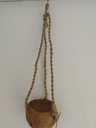 Coconut Plantenhanger Cocodama Kokodama