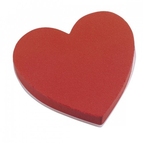 Heart Oasis® Rainbow Rood gekleurd steekschuim