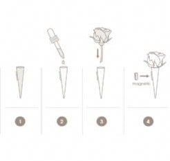 Corsagehouder Boutonnière Flowerdarte Goud doos 10 stuks