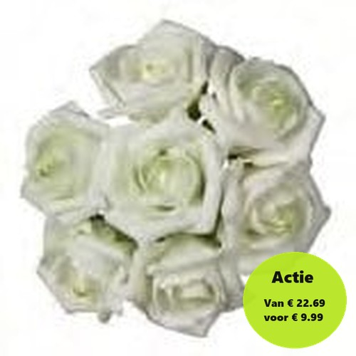 Foamroos Emilia Cremegroen 6 cm doos 42 stuks