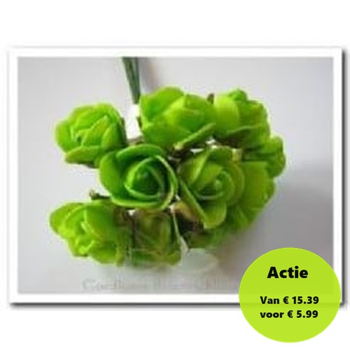 Mini Foam Roos Fris Groen 2 cm Doos 144 stuks