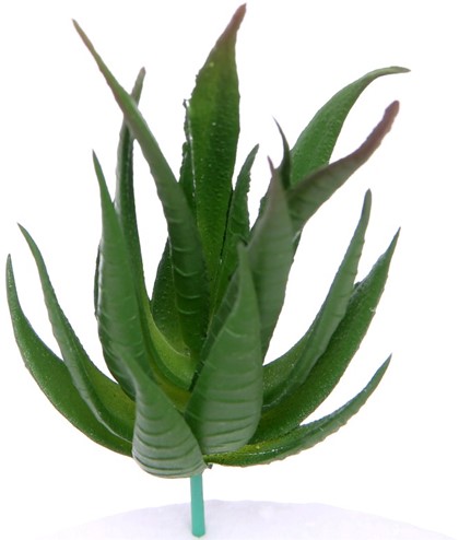 Latex Succulent Groen 12 cm per stuk