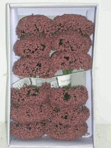 Fieldberries Mauve doosje