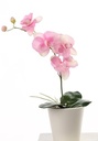 Orchidee Phalaenopsis Roze Zijden plant blad en wortel 44 cm 1 tak 4 bloemen