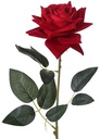 Zijden Roos Emperor Velvet Donkerrood 72 cm per stuk 