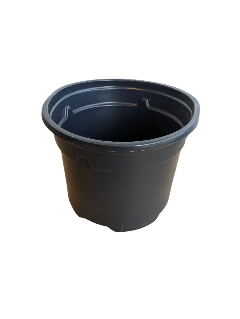 Kweekpotten Rond Zwart Ø9 cm x 7 cm pak ca. 25 stuks
