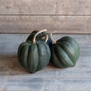 Porcelain Doll F1 pompoen zaden