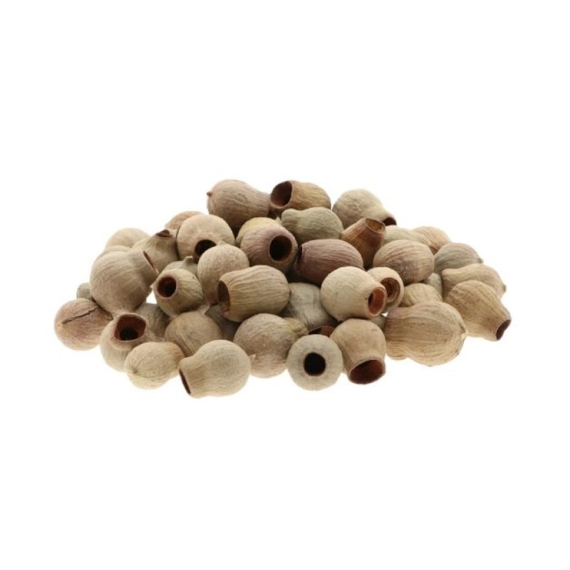 Eucalyptus Bells Zaaddozen Los 500 gram