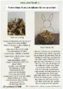 Haas Bunny moskrans Salim op schaal Stel zelf je pakket samen