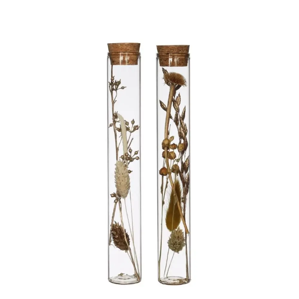 Reageerbuis Naturel met kurk incl. droogbloemen 20×3 cm per stuk Actie