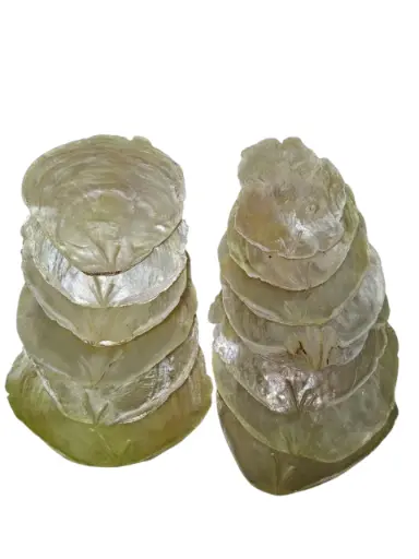 [A-010030] Capiz Camar schelpen Lichtgroen 250 gram