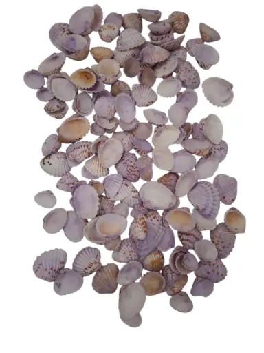 [A-015126] Tiger Chippy Schelpen Lila 500 gram