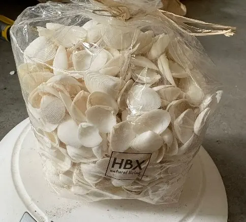 [A-018445] White Cay Cay Witte schelpjes 850 gram