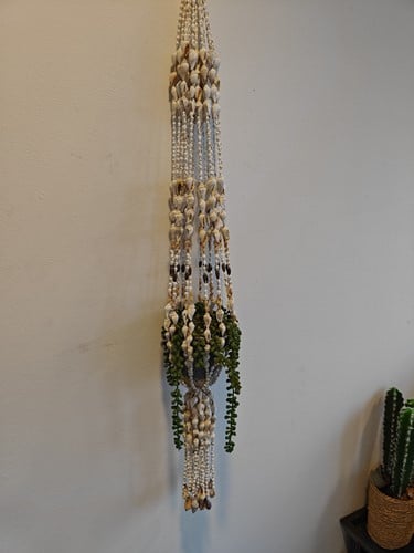 [A-022144] Schelpengordijn Schelpenhanger Gordon Gandon geboorde schelpen Wit/bruin 