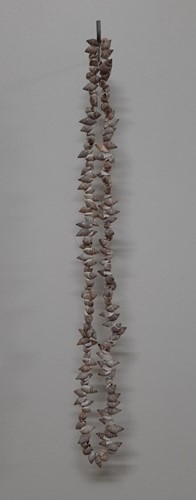 [A-022222] Schelpengordijn Schelpenhanger Guirlande schelpen kopparai. 1,2 mtr. Naturel geboorde schelpjes