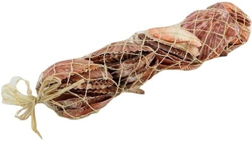 [A-023472] Pecten Nobilis Jacobsschelp Net 30 cm 
