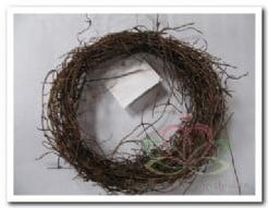 [A-002546] Salimkransje muehlenbeckia dun Ø25 cm