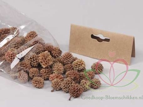 [A-011323] Casuarina Denneappeltjes ca. 100 gram