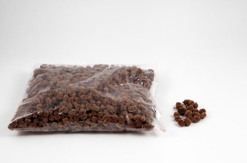 [A-012883] Casuarina Denneappeltjes Naturel ca. 500 gram