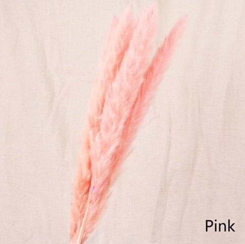 [A-019620] Dried Pampas Fluffy Pink Soft Roze 70 cm