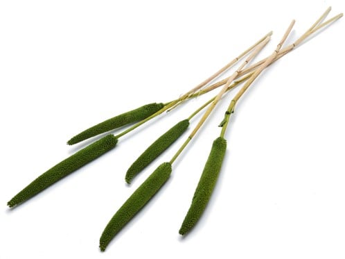 [A-023416] Babala Groen 10pc 65-70 Bundel droogbloemen vaste pluimen