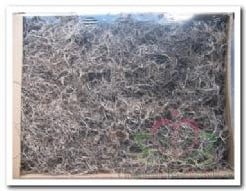 [A-005582] Tillandsia Junglemos Spaansmos Forestmos Naturel 1200 gram bulkverpakking