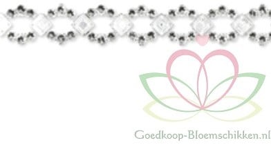 [A-010824] Strassband diamantjes 12 mm ca. 2 meter per kaartje