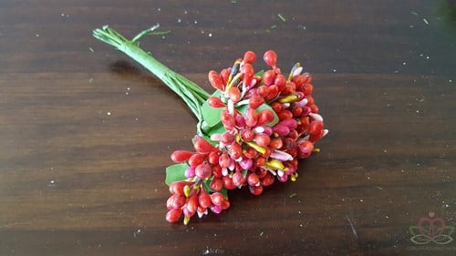[A-012091] Besjes blad meeldraden Rood bundel 10 stuks
